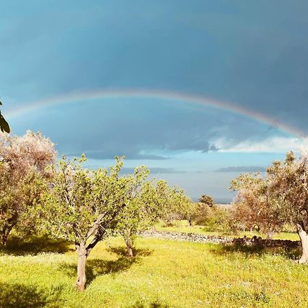 La Perla Di Torre Guaceto Villa Serranova Buitenkant foto