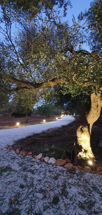 La Perla Di Torre Guaceto Villa Serranova Buitenkant foto