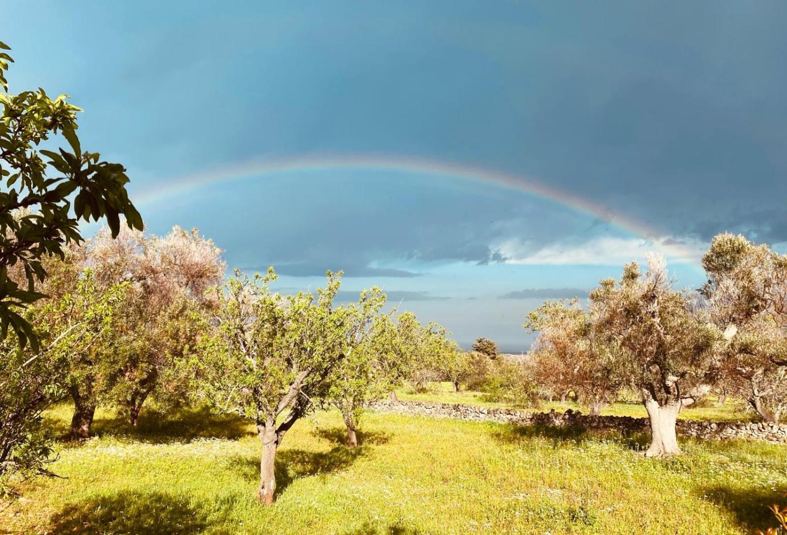 La Perla Di Torre Guaceto Villa Serranova Buitenkant foto